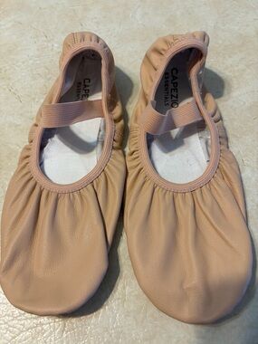 NWT Capezio Luna V100W